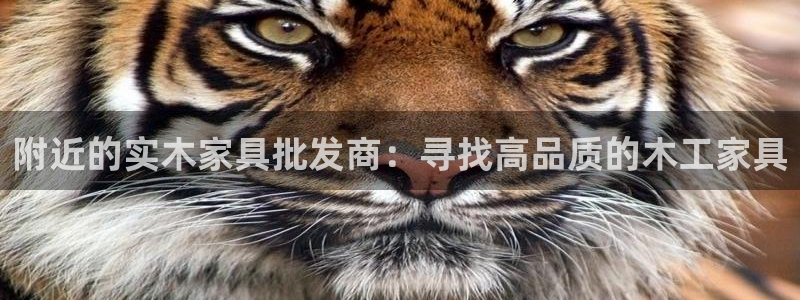龙八国际公司是真是假