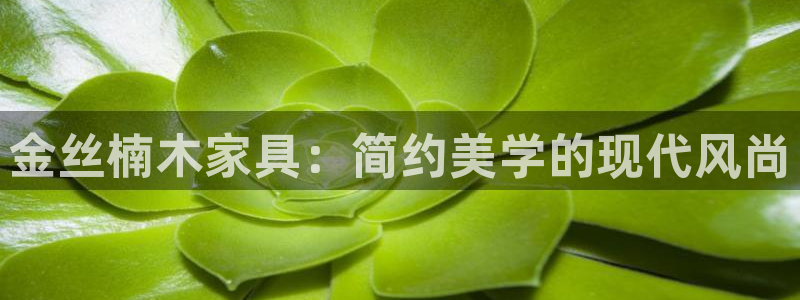 龙八国际下载安装彩