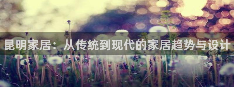 龙八国际服官方