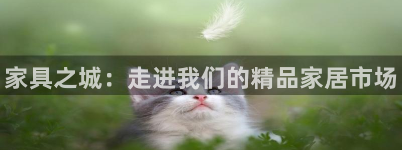 龙八国际官网苹果