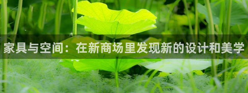 龙八国际最新官网