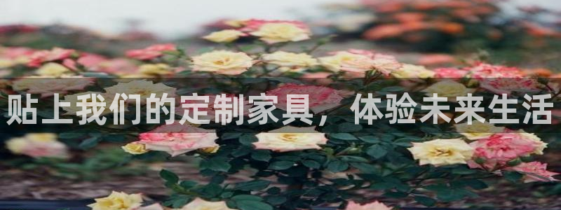 龙八国际网站全网