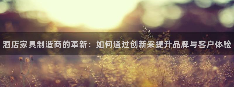 龙八国际网页long8868
