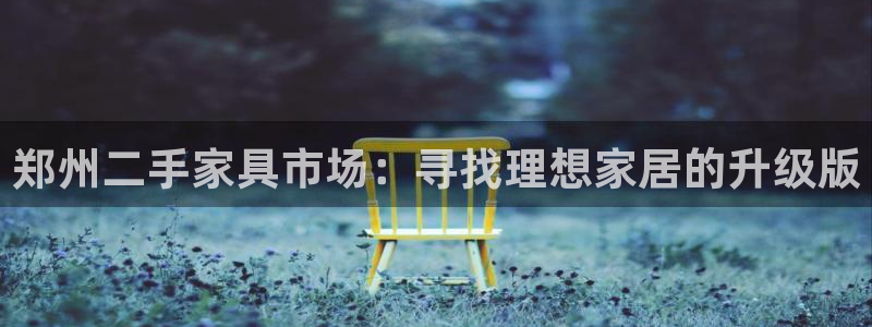 龙八国际long