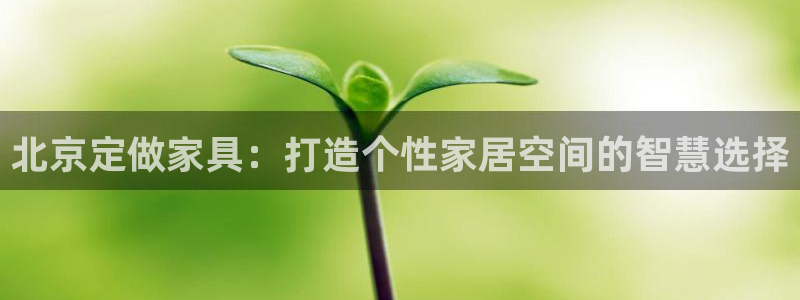 龙八国际网b48点tv