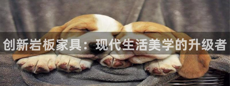 龙八国际娱乐官网app