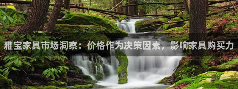 龙八国际app