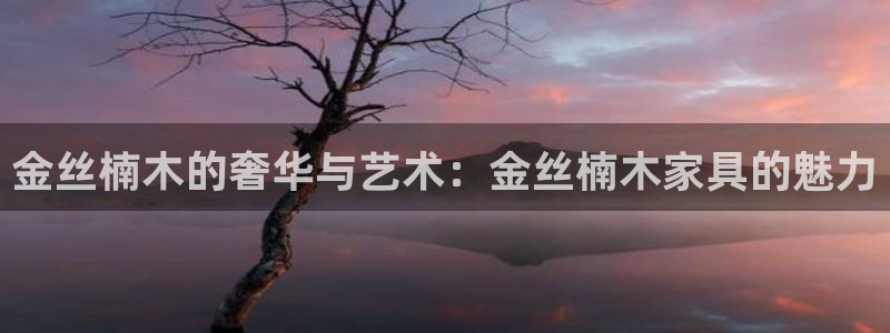 龙八国际报警