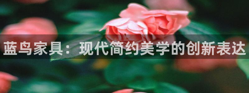 龙八国际电脑版下载