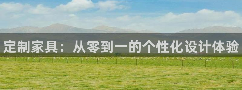 龙 八国际