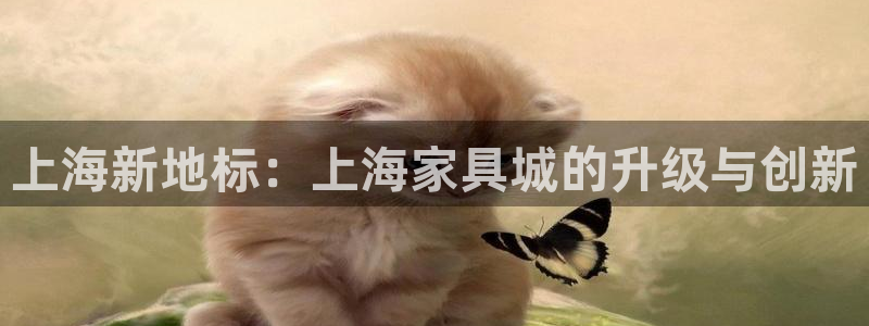 龙八国际官网手游
