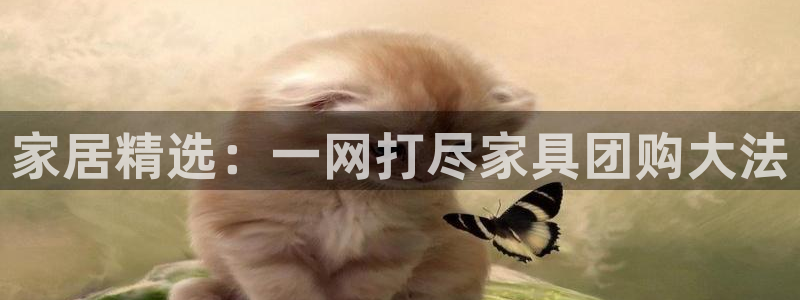头号玩家龙八国际网址