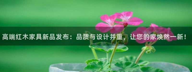 龙八国际头号玩家下截