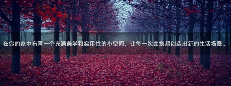 龙八国际在哪里啊