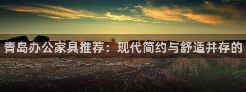 龙八国际娱乐pt老虎机