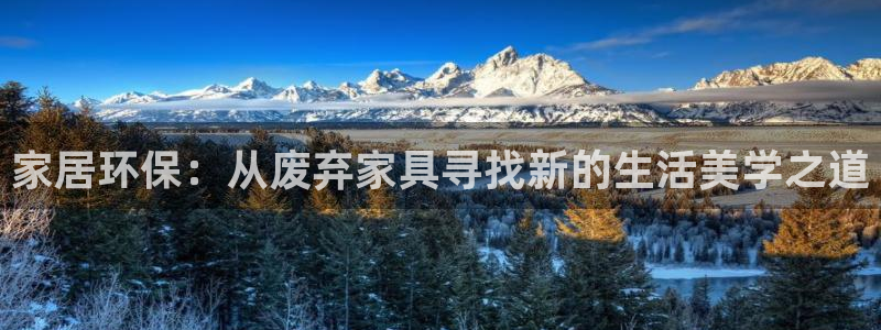 龙八国际官方网