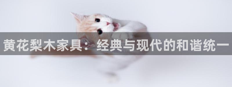 龙八国际官网首页