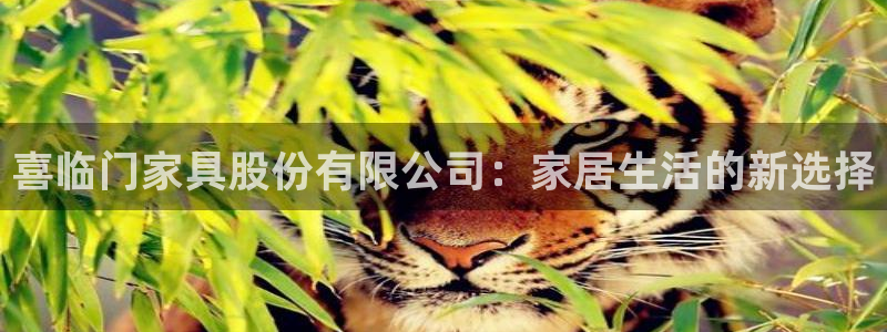 龙八国际新版本