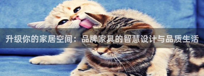 龙八国际备用地址