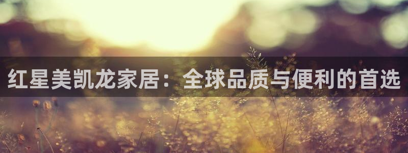 龙八国际在线