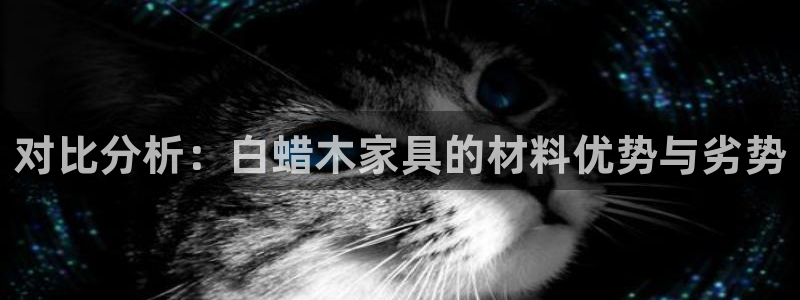 龙八国际娱乐pt老虎机
