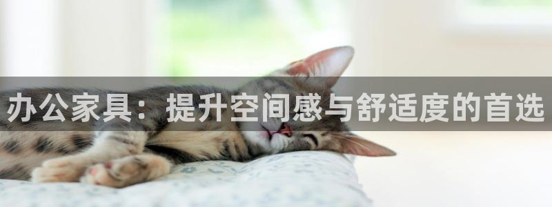 国际龙八国集团