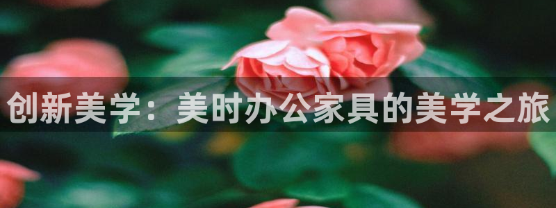 龙八国际兑换码
