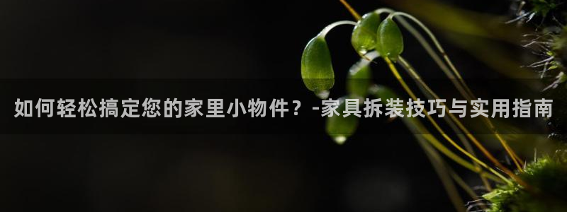 龙八国际赌博经验