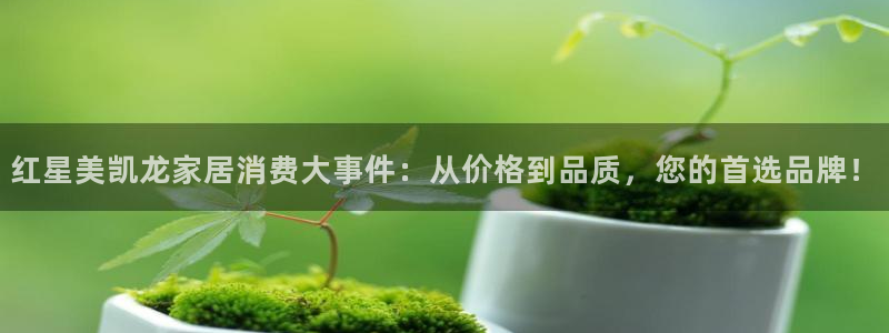 龙八国际官方网站入口