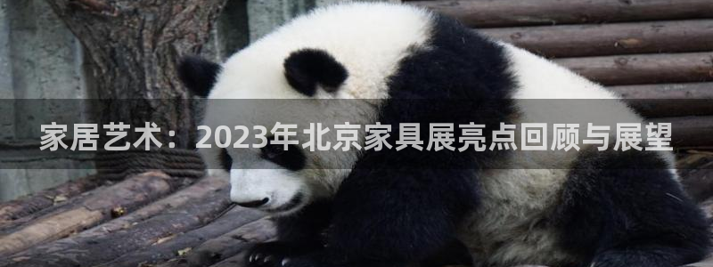 龙八国际APP客户