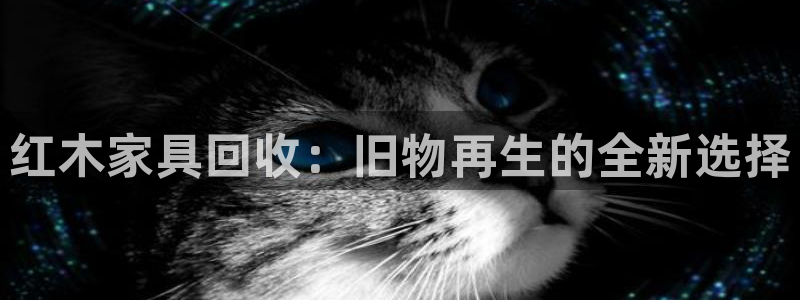 龙八国际app骗局