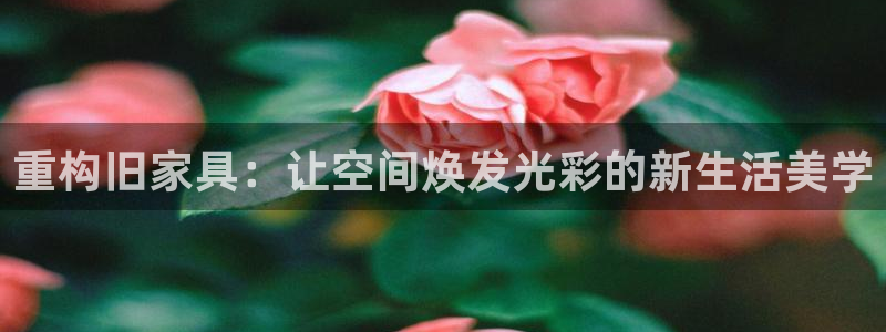 下载龙八国际