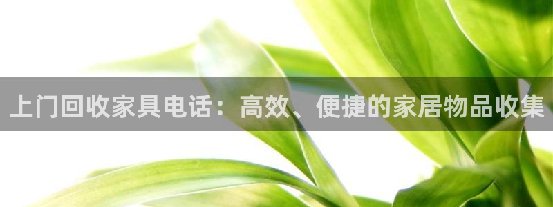 龙八国际有限责任公司