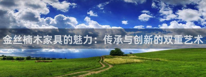 龙八国际娱乐网站多少