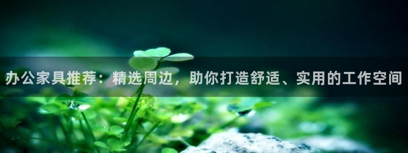 手机版龙八国际服客服