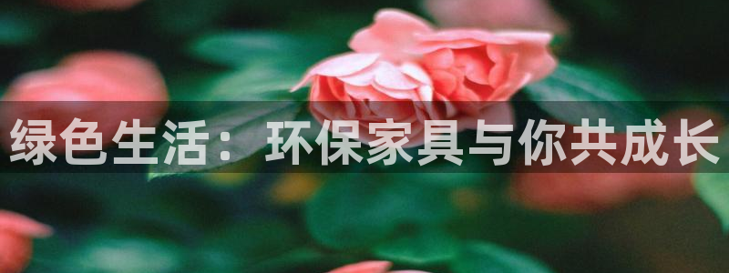 不会玩龙八国际