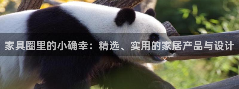 龙八国际提现待审核