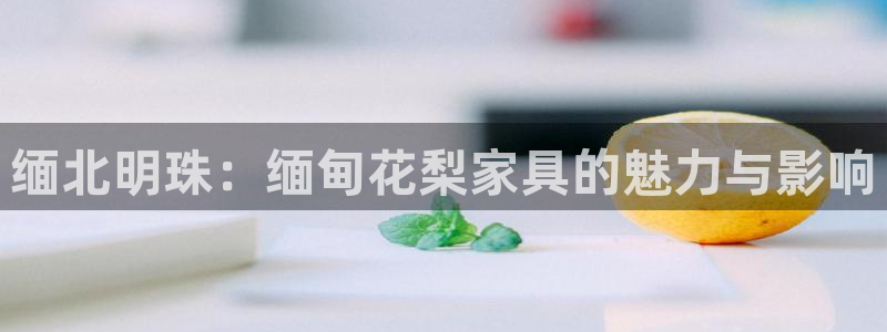龙八国际手机下载安装
