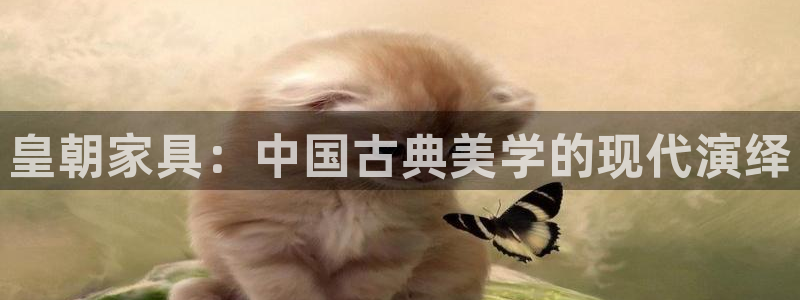 龙八国际app官方下载