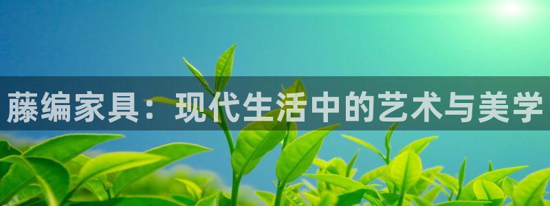 龙八国际登录注册