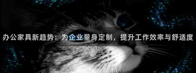 龙八国际手机版下载地址