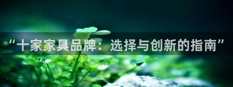 龙八国际官网app