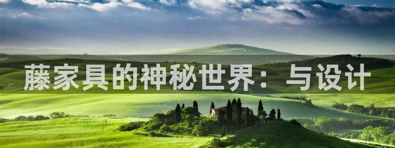 龙八国际不管吗