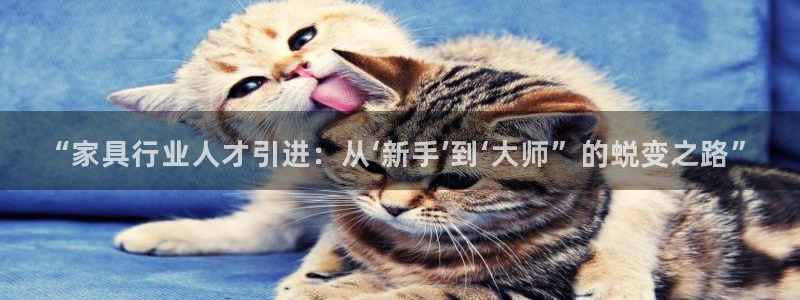 龙八国际登