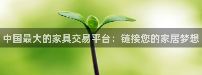 龙八国际头号玩家是谁啊