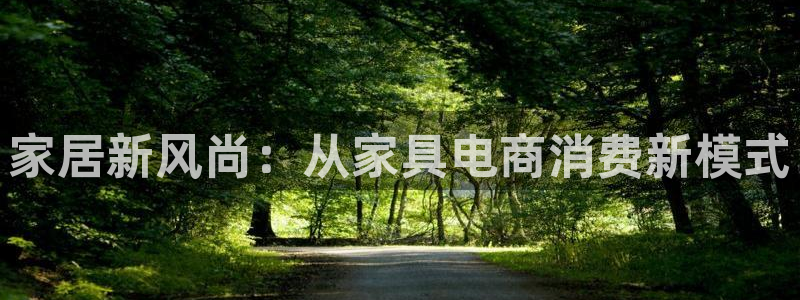 龙八国际登官网