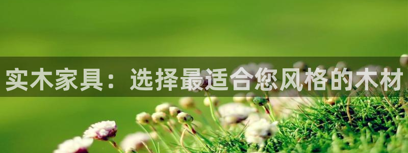 龙八国际在线网址