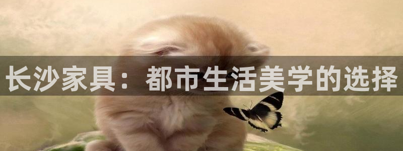 龙八国际app首页