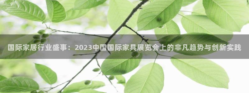 龙八国际娱乐网站