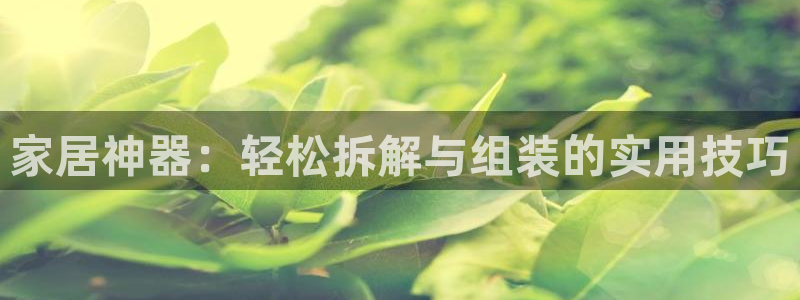 龙八国际app手机版下载安卓